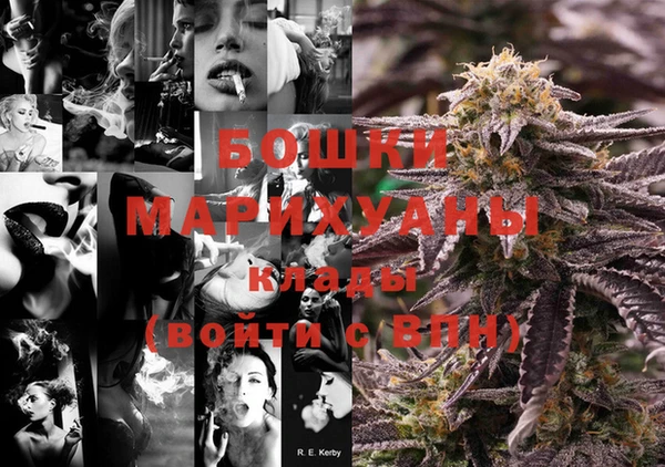 трава Аша