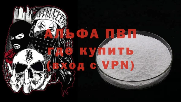 дживик Пересвет